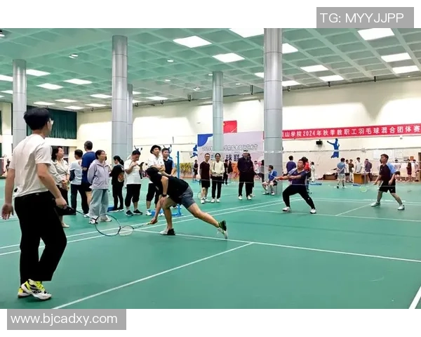 羽毛球盛宴：深入解析北京羽毛球队的训练与竞技状态